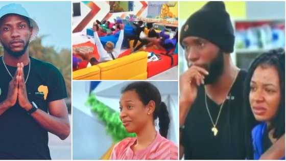 Housemates become emotional, jump for joy as Kayvee finally addresses them after leaving BBNaija