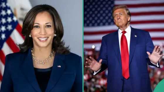 Trump v Kamala: Wanda ke kan gaba a zaben shugaban kasan Amurka