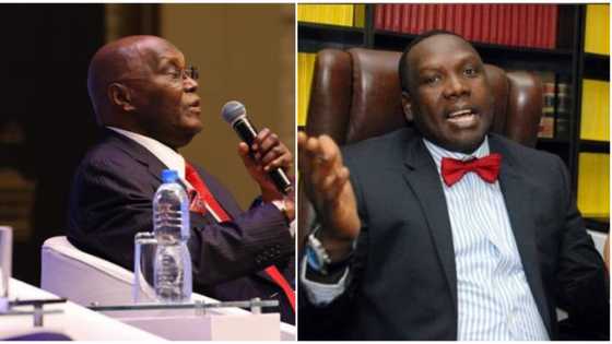Error or fact? "PDP is Aware they're not winning this election" - Atiku's campaign spokesman speaks in video