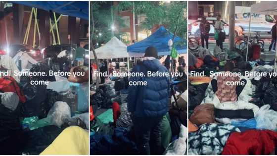 "People are suffering there": New immigrants sleep on streets as they arrive Canada, video goes viral