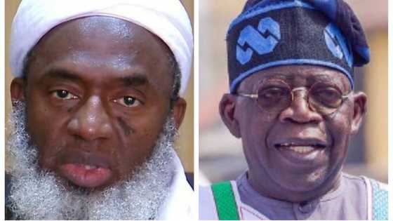 Ba kuskure ba ne: Ahmad Gumi ya dauki zafi a kan kisan masu taron Maulidi a Kaduna