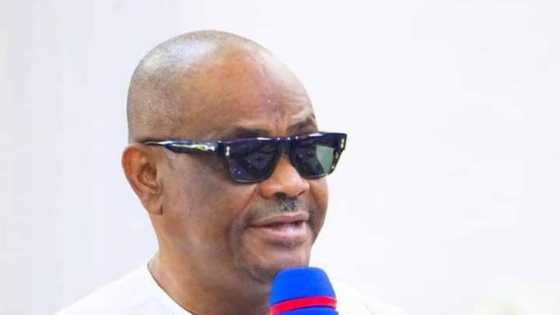 Wike: Idan da Ganduje ya fito takarar shugaban kasa, da tuni na janye