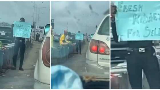 Frustrated Nigerian man puts up his kidney for sale, captured in traffic with cardboard, video stirs reactions