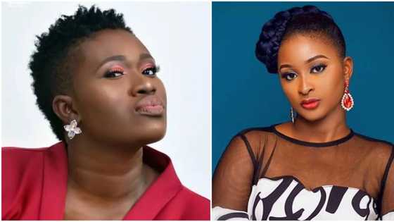 Ada Ameh: Real Warri Pikin reacts days after backlash from Etinosa over condolence visit video