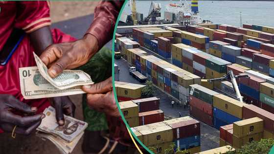 Nigeria Customs announces new dollar exchange rate to clear goods at ports