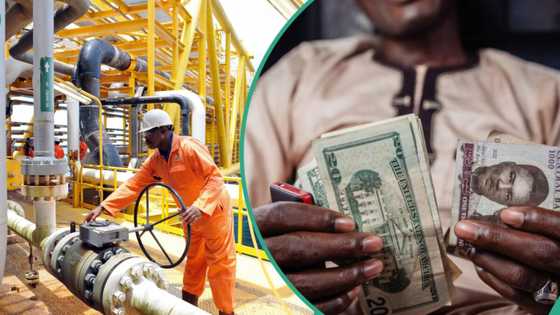 Good news for naira as FG gives new instruction on crude oil sale to Dangote, other refineries