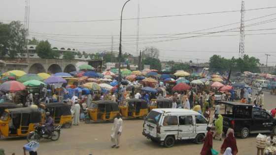 Kano: Hukumar yaƙi da rashawa tana shirin karya farashin kayan abinci