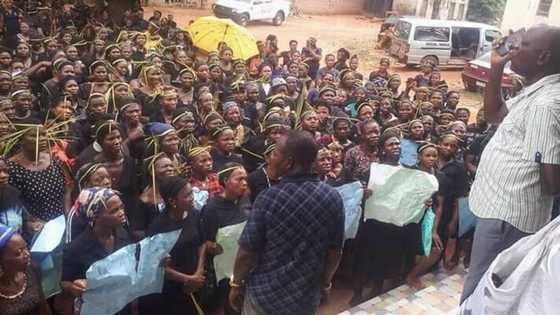Herdsmen killings: Igbo women threaten to protest naked across southeast
