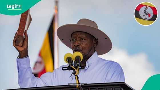 Uganda announces single-entry tourist visa fee, mentions how long it is valid