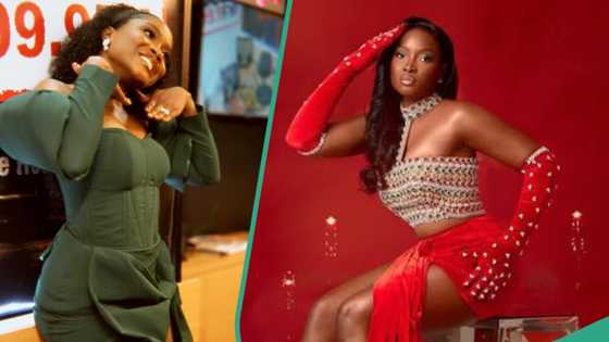 BBNaija's Ilebaye adorns sultry attire to Priscilla Ojo's birthday party, fans react: "Zero class"