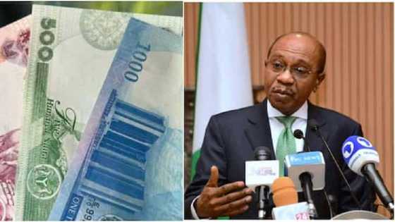 Kafa tarihi: Emefiele ya kafa tarihi, a zamaninsa ne darajar Naira ta fi karyewa a idon duniya