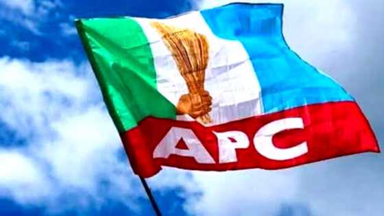 APC ta aike wa INEC sanarwar za ta yi gangamin zaben shugabannin jam'iyya na kasa