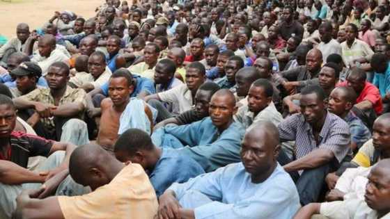 Sun bar ta'addanci: Rundunar soji ta bayyana adadin tubabbun 'yan Boko Haram da ke hannun gwamnati