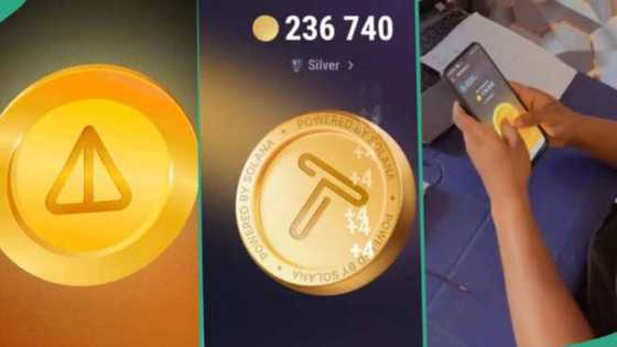 Notcoin vs TapSwap: Abubuwa 5 game da tara kudin Crypto ta hanyar dangwale a Telegram