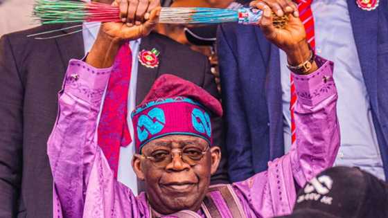 ‘Dan Takaran da Ake Zargi da Yi wa APC Aiki a 2023 Ya Fito Fili Yana Goyon Bayan Tinubu