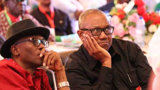 Peter Obi's campaign director explains how party supporter lost arm after Lagos rally attack