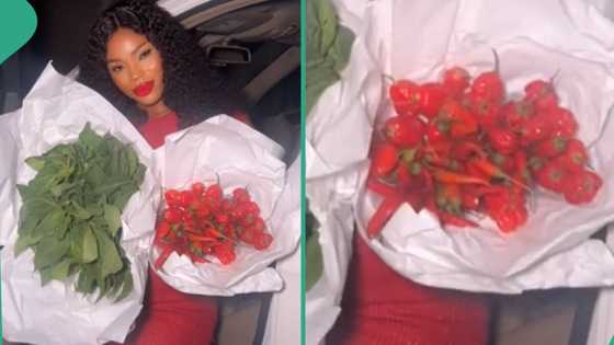 Lady gets bowl of expensive fresh pepper and vegetables bouquet as gift from her man