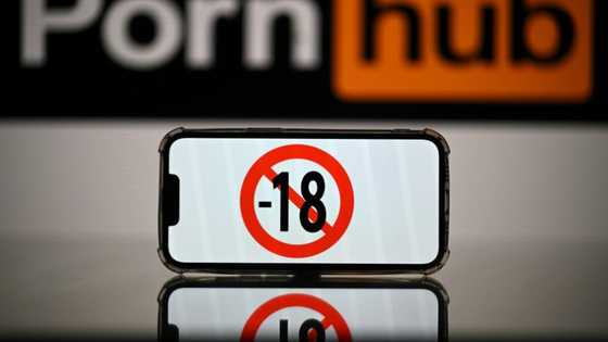 EU investigates four porn platforms over risks to children