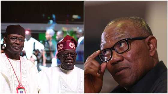 INEC defends Tinubu's victory, reveals why tribunal should dismiss Peter Obi’s petition