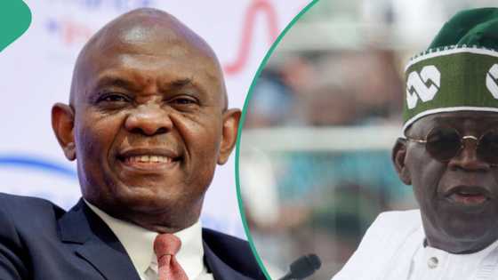 Tony Elumelu speaks on Tinubu's reforms amid N1.8 trillion savings from subsidy