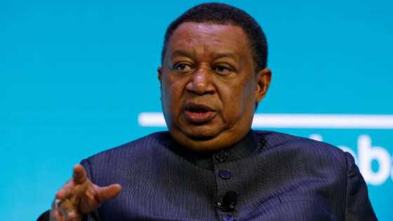 Profile: Muhammad Barkindo: Nigerian shinning star at OPEC for 36 years goes home; his legacies live on