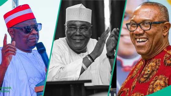 Rikicin ADC: Jam'iyyar adawa ta roki Kwankwaso, Atiku da Obi su dawo cikinta