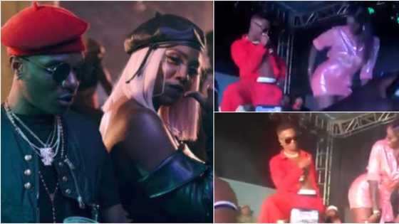 Wizkid makes cross sign after Tiwa Savage told him to touch her yansh, Nigerians react