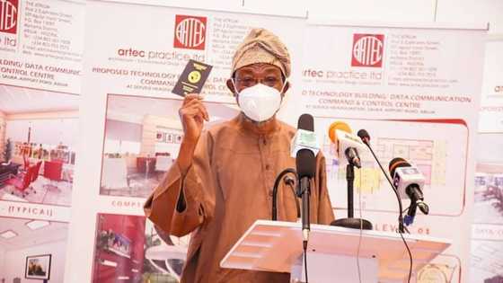 Nigeria's e-Temporary Passport: 10 important things to know about new travel document