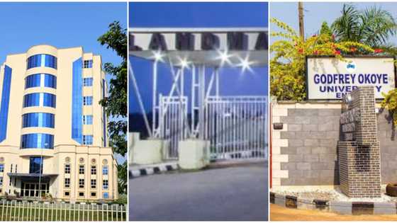 Webometrics ranking 2023: Landmark, Redeemers on list of top 10 private universities in Nigeria