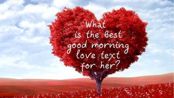 75 best examples of a good morning love text for her