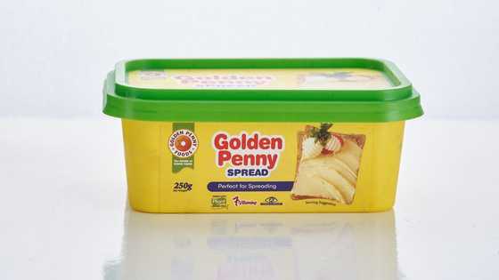 How to make delicious homemade meatpies with Golden Penny Spread