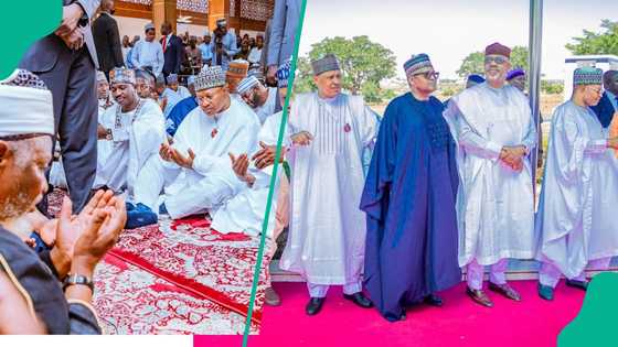 Tinubu sun tafi bikin gidan Barau, Shettima da Dangote sun halarci auren Bagudu