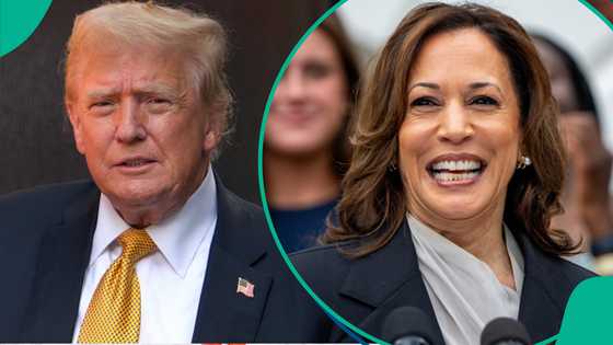 US presidential election live results: Kamala Harris vs Donald Trump