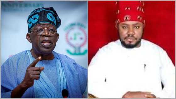 Reps member-elect hints Benue residents about goodies Tinubu's government will offer