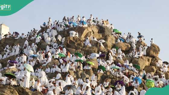 2025 Hajj: Pilgrims pray at Mount Arafat amid extreme heat