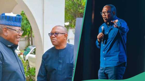 Just In: Speculations as Peter Obi visits former governor of Jigawa Lamido