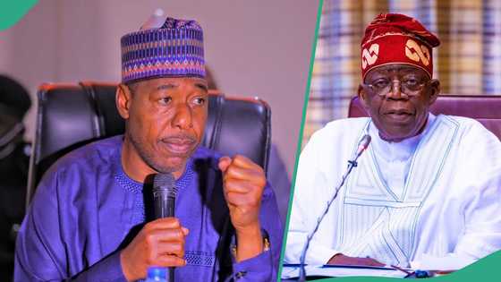 “Boko Haram on the verge of taking over entire LG in my state,” Nigerian governor raises alarm