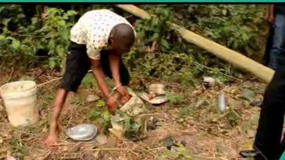 How police arrested man who killed OAU student for ritual purposes in Ogun