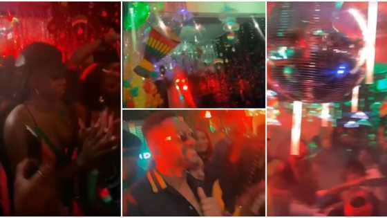 Cross, Angel, other BBNaija stars party hard as they storm Tolani Baj's reggae-themed birthday party