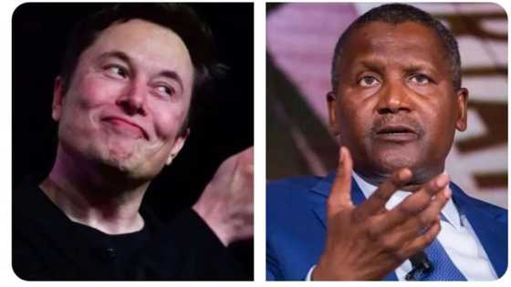 A cikin awanni 8 rak, Elon Musk ya tara abin da Aliko Dangote ya mallaka gaba da baya
