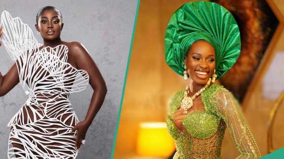 Actress Nana Addo refutes stylist Ezinne's claim about making her AMVCA dress, shares evidence