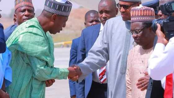 Gwamna Zulum ya bai wa Buhari shawara kan Boko Haram
