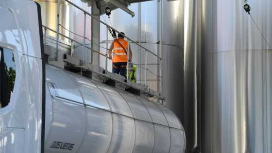 Gas rationing risk means French yoghurt factory faces sour future
