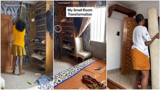 "Paint the shoe rack": Lady redecorates room in father's house, repaints the walls, tears down wallpapers