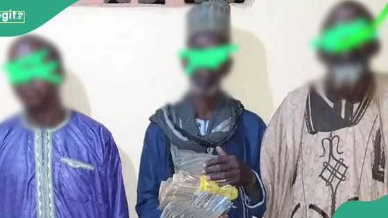 Lukarawa: Police react as 3 members of deadly group issue N1 million bribe to officers in Kebbi