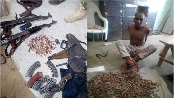 Sojoji sun ragargaji 'yan ta'addar Zamfara, hotunan wadanda suka mutu