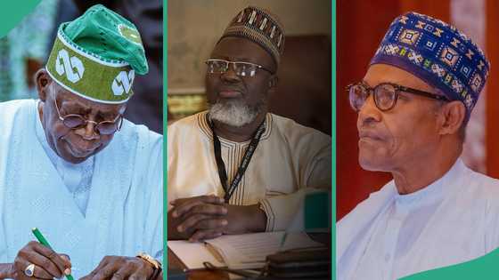 Cabinet reshuffle: Ex-Buhari's minister names 1 Tinubu's minister who can deliver