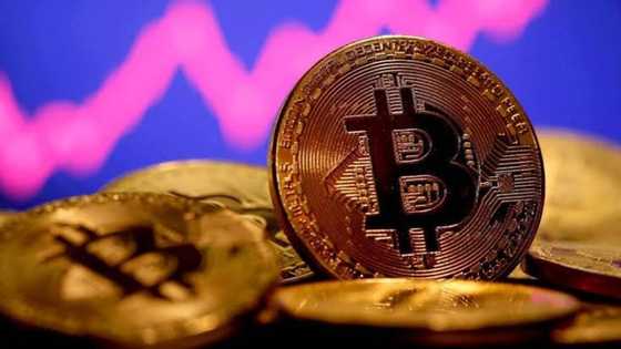 Labarin wani dan crypto: Cikin mintuna 5 na tsiyace daga miloniyan dan crypto