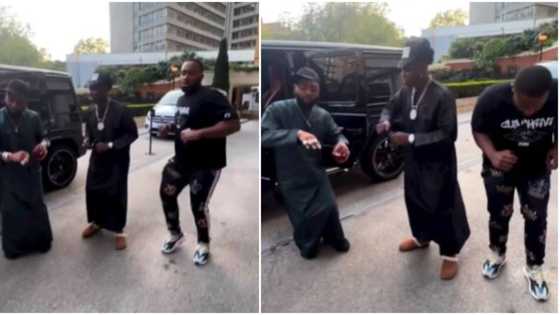 "Kiddwaya too dey behave like agric fowl": Video as Davido, Zlatan and BBN star show off Igbo moves