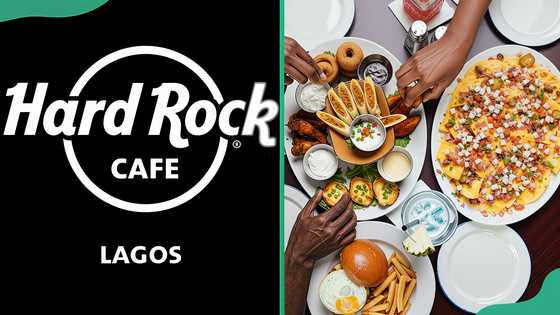 Hard Rock Cafe Lagos menu and prices: exploring the rockin' flavours